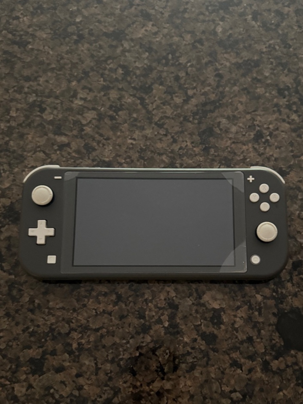 Handheld Gaming Console - Gray Nintendo Switch Lite Video Game System